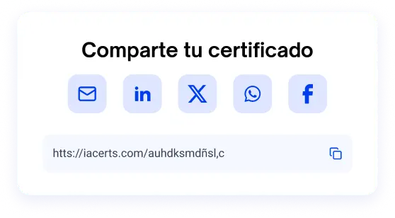 Elemento representativo 2 del bento grid
