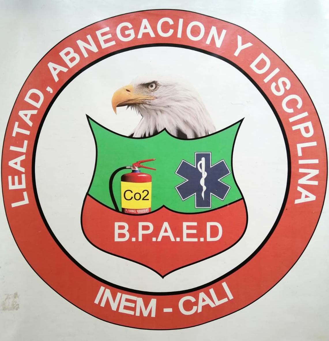 Logo de INEM Cali